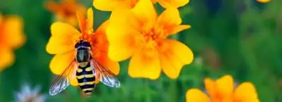 Proximity-Induced SuFEx Click Chemistry