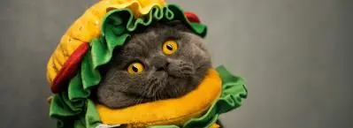 Masking the Peptide Backbone in SPPS