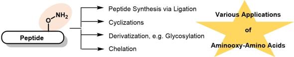 Aminooxy-Amino Acid Derivatives