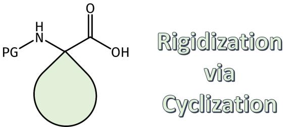 Conformationally Constrained Amino Acid Derivatives