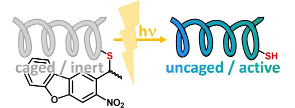 Nitrodibenzofuran (NDBF) based Photocleavable Protecting Groups