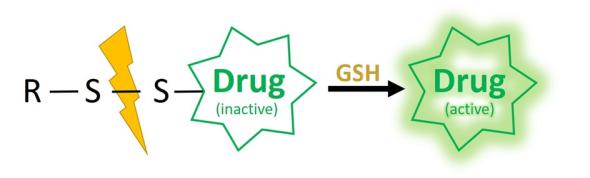 PotM: Disulfide-Based Self-Immolative Linkers