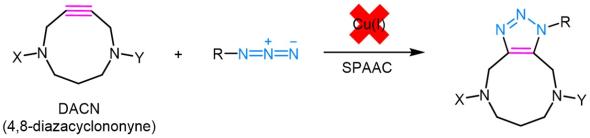 DACNs for Strain-Promoted Azide-Alkyne Cycloadditions (SPAAC)