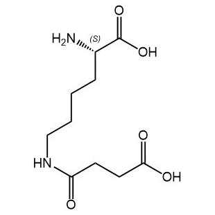 H-L-Lys(Suc)-OH*HCl