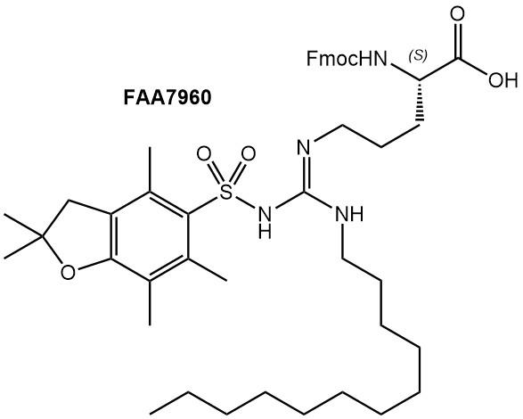 Product Focus: Arginine Derivatives