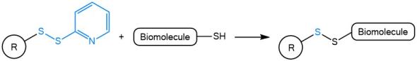 PotM: Pyridyldithiols as Precursors for Disulfide-Based (Self-Immolative) Linkers