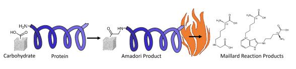 Maillard Reaction Products – General Advice for Usage, Reconstitution and Storage