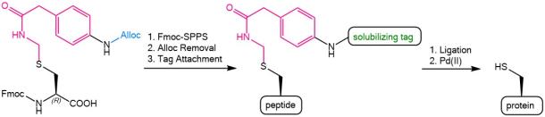 Facilitating the synthesis of hydrophobic peptides and proteins