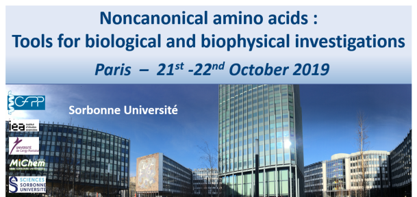 Noncanonical amino acids: Tools for biological and biophysical investigations