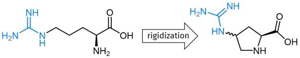 PotM: Guanidino-Proline as rigid Arginine mimic