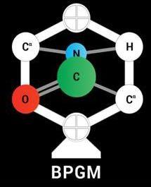 The 2014 Belgian Peptide Group Meeting