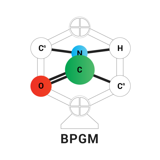 4th Belgian Peptide Group Meeting