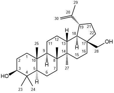 Betulins – Potent Natural Products