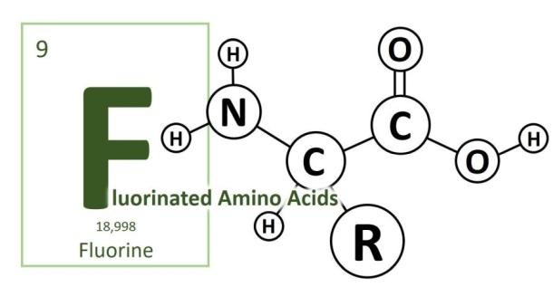 Product of the Month: Fluorinated Amino Acids