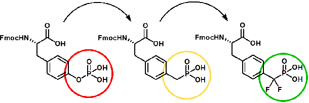 Product Focus: Next Generation Phosphoamino Acid Analogs