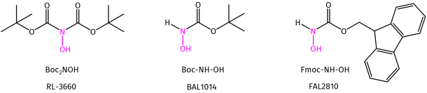 Building Blocks for the Introduction of Hydroxylamine