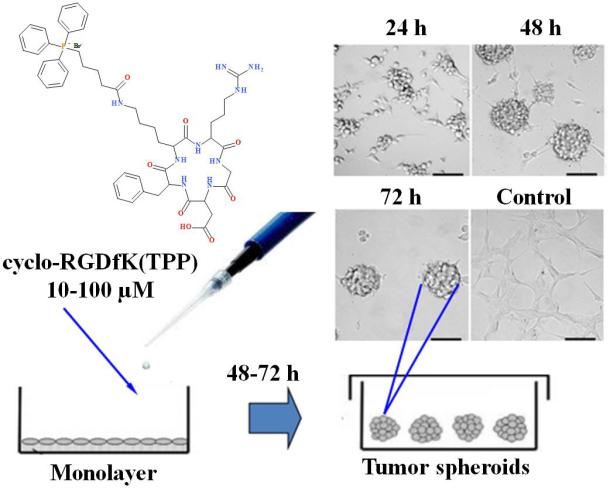 A Cyclo-RGD Peptide for the Preparation of Tumor Mimics