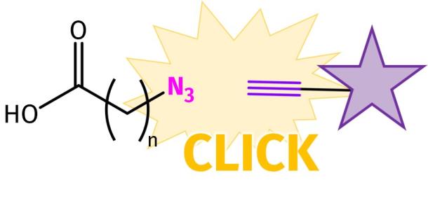 Clicky Acids – Fatty Acids for Click Conjugation