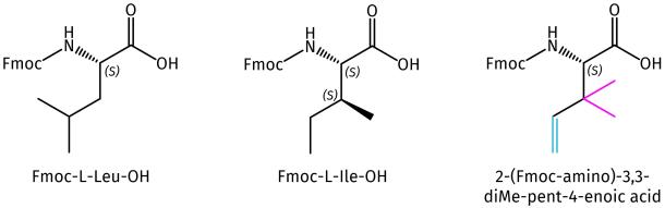 Protease Stable Ile/Leu Surrogates