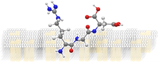 Product of the Month: cyclo-Arg-Gly-Asp (RGD) Peptides