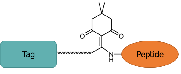 Product of the Month: Dde-based Linkers