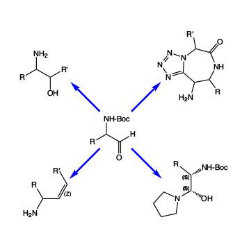 Amino Aldehydes