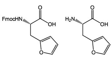 Furyl-Alanine: A Novel Photo-Click Amino Acid