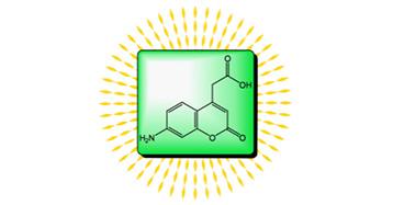 Fmoc-Phe-Aca: Fluorescent Internalization Reporter for Cell Penetrating Peptides (CPPs)