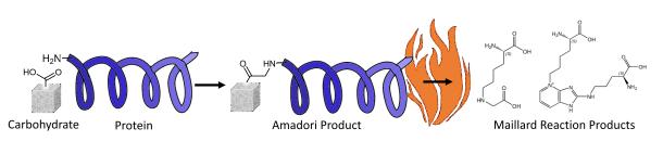 Maillard Reaction Products – General Advice for Usage, Reconstitution and Storage