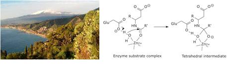 Biotrans 2011