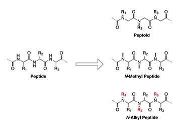 New Iris Kits for the Synthesis of Peptoids and N-Alkylated Peptides