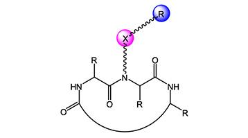 Peptoids - Peptide Backbone Derivatisation