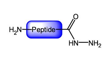 NEW Hydrazone Resin