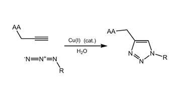 Click Chemistry Tools: Propargyl Amino Acids