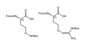 Canalin and Canavanine : New Fmoc building blocks for novel peptides and protein analogs