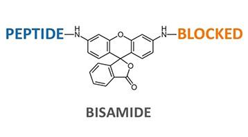 Fast and Easy Protease Kinetics with Asymmetric Rhodamine 110 Substrates