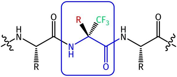 Trifluoromethylated Amino Acids