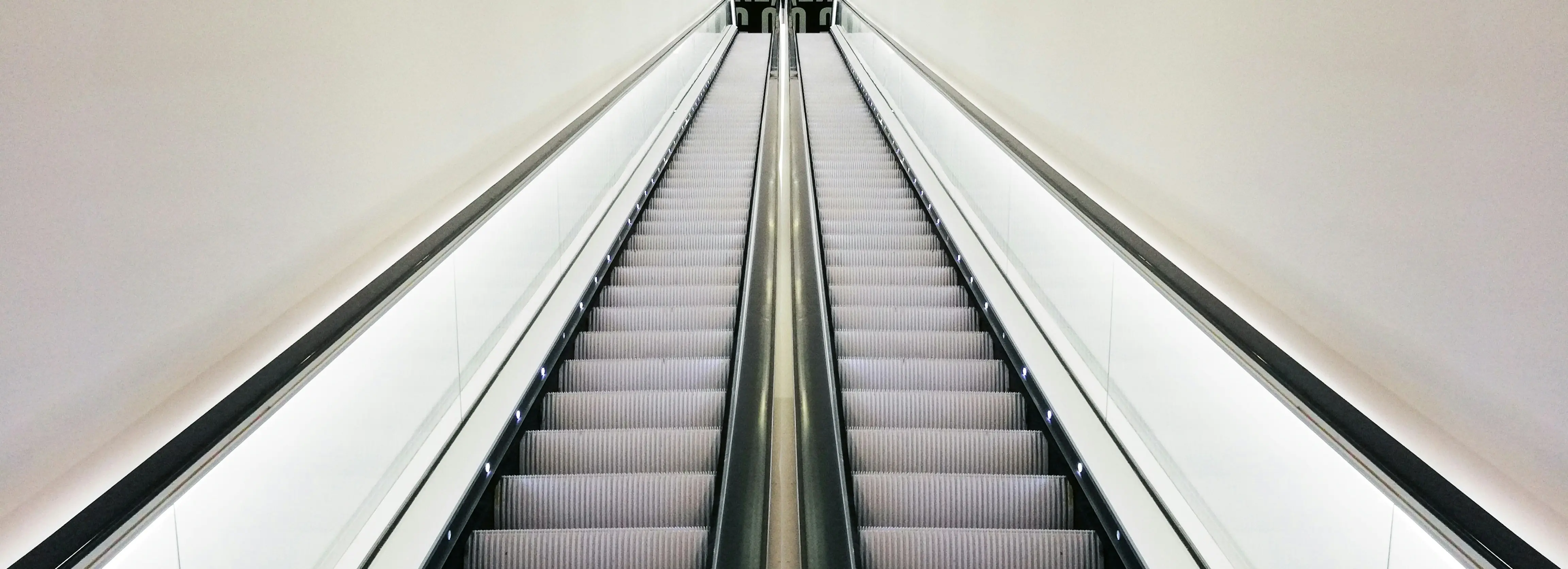 Carboxymethyl Amino Acid Derivatives