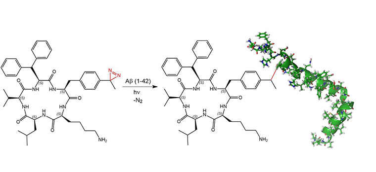 Photo-Phenylalanine