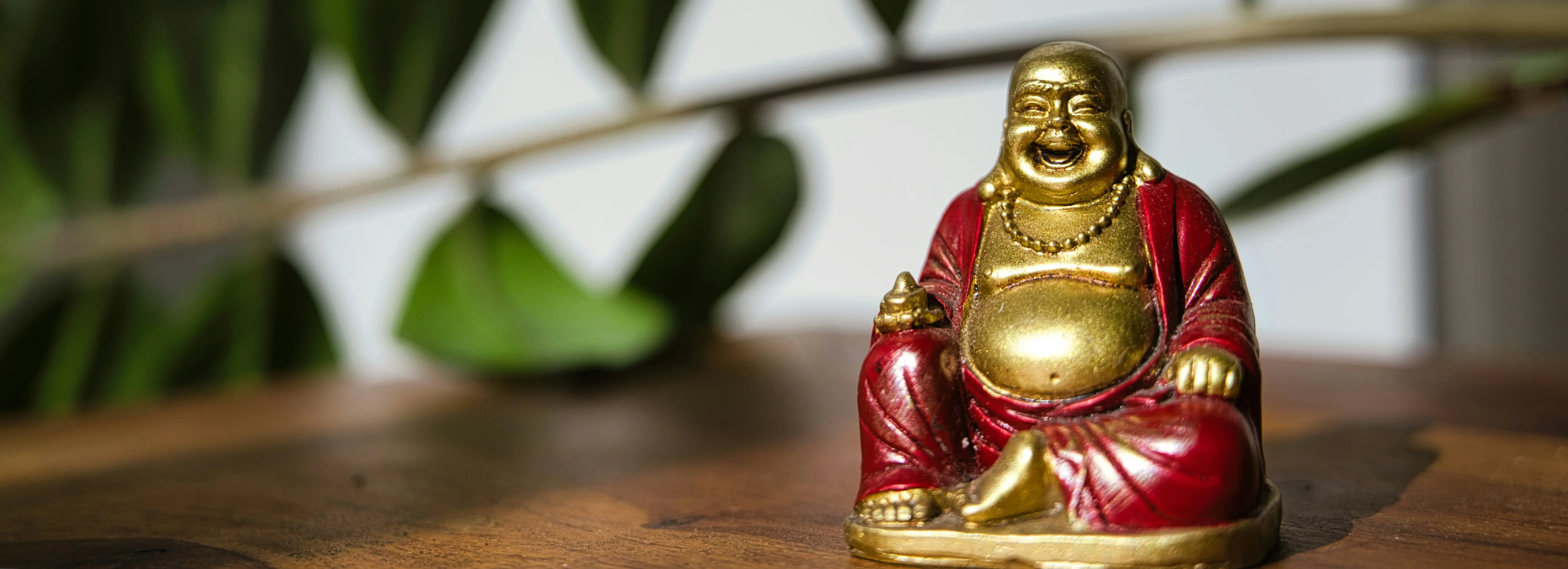 PotM: Semaglutide and Peptide-Based Weight-Loss Drugs 