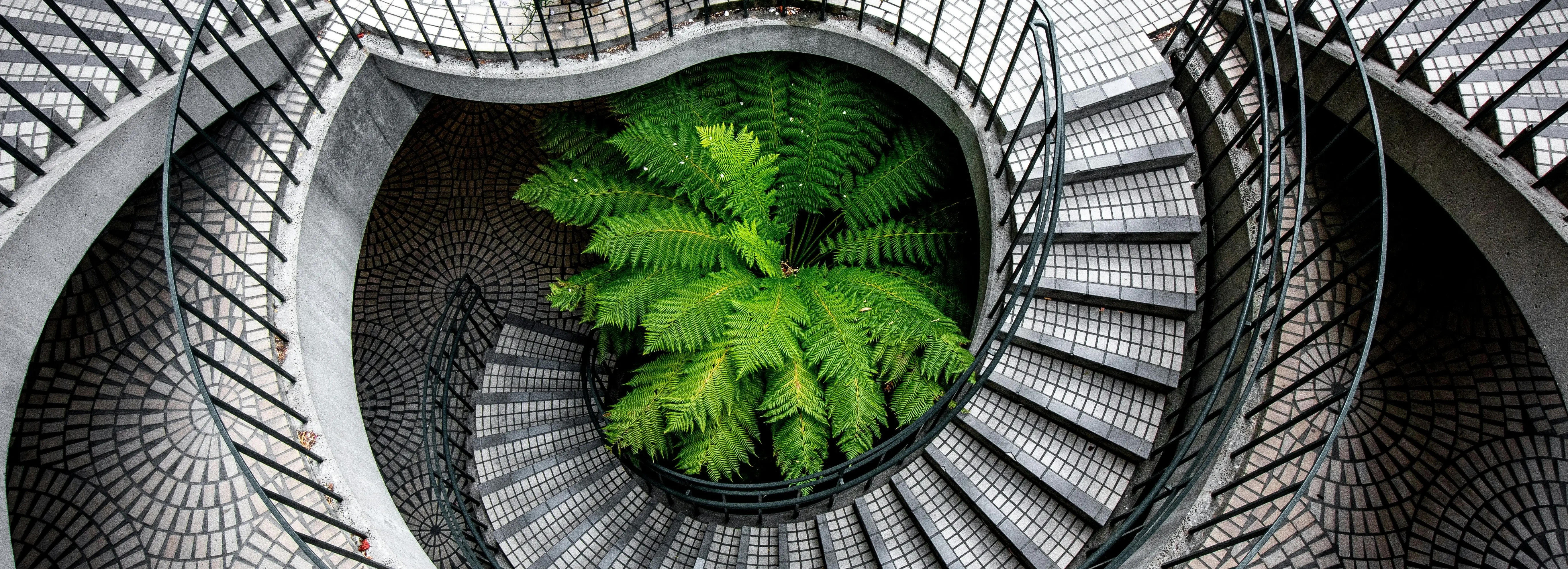 Preloaded MPPA-Li Resin and Rink-Li Resin