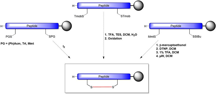 On Resin SS-Bond Formation