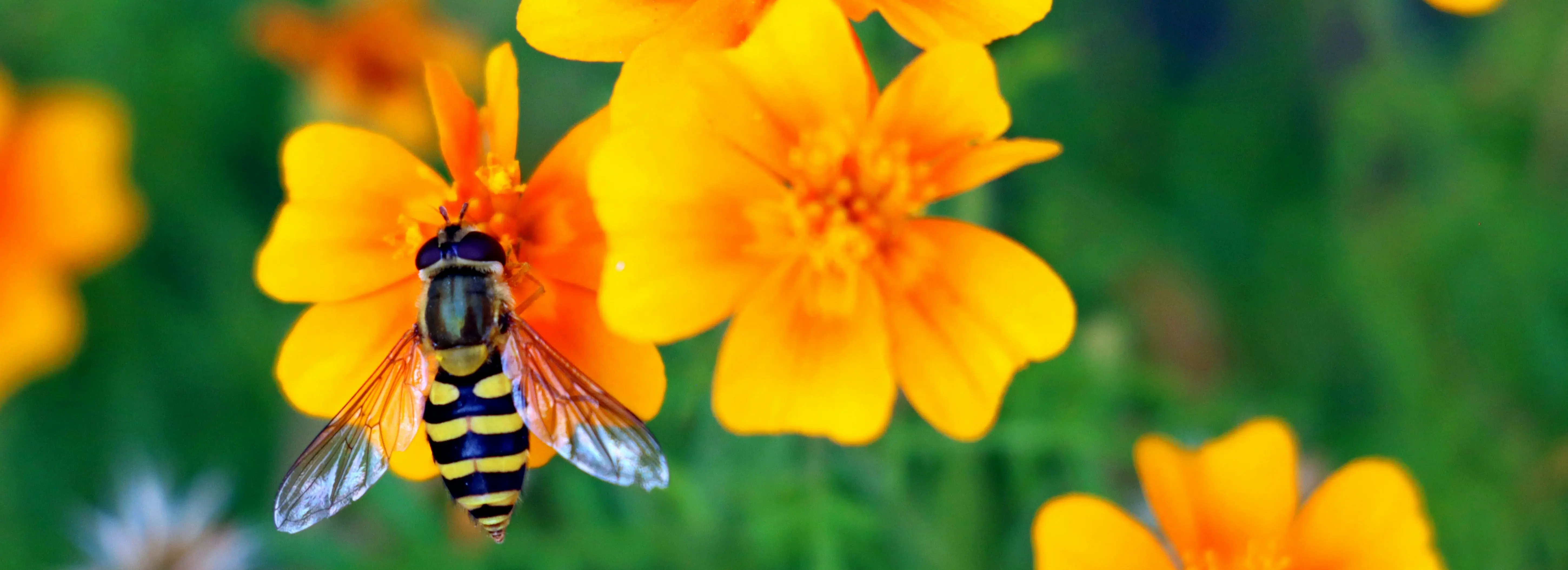 Proximity-Induced SuFEx Click Chemistry