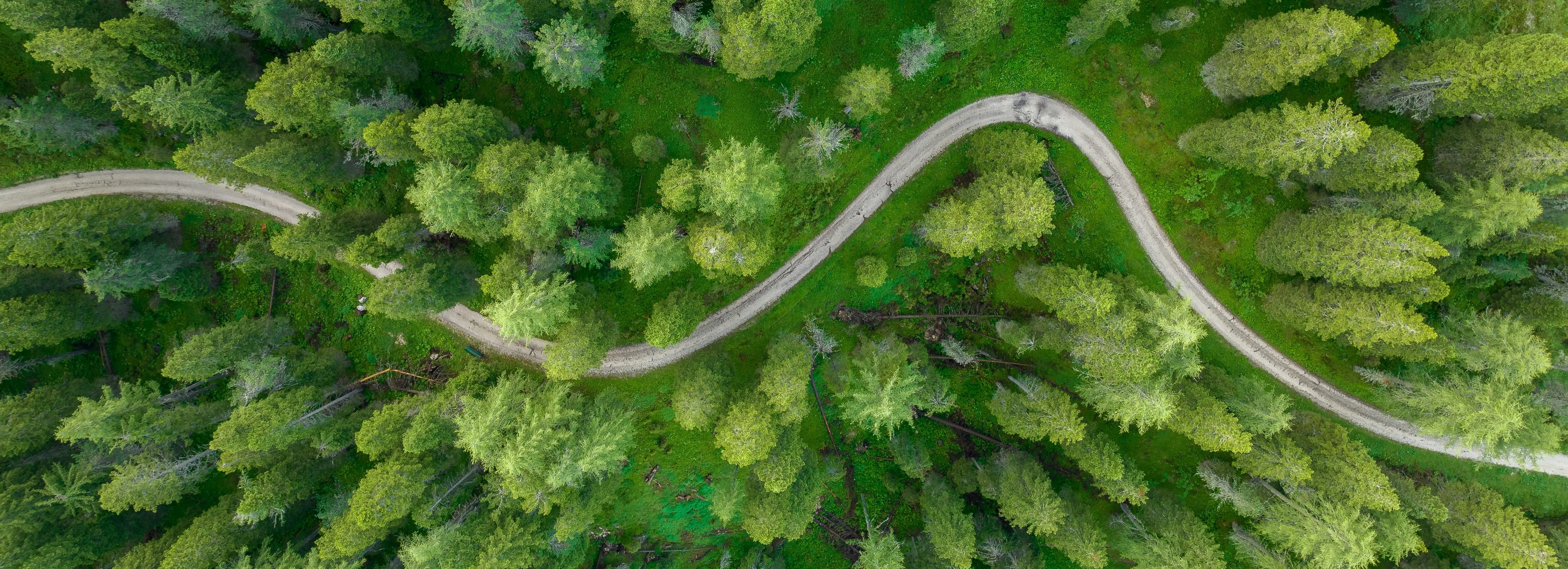 T-BEC - An Advanced Carbodiimide for SPPS