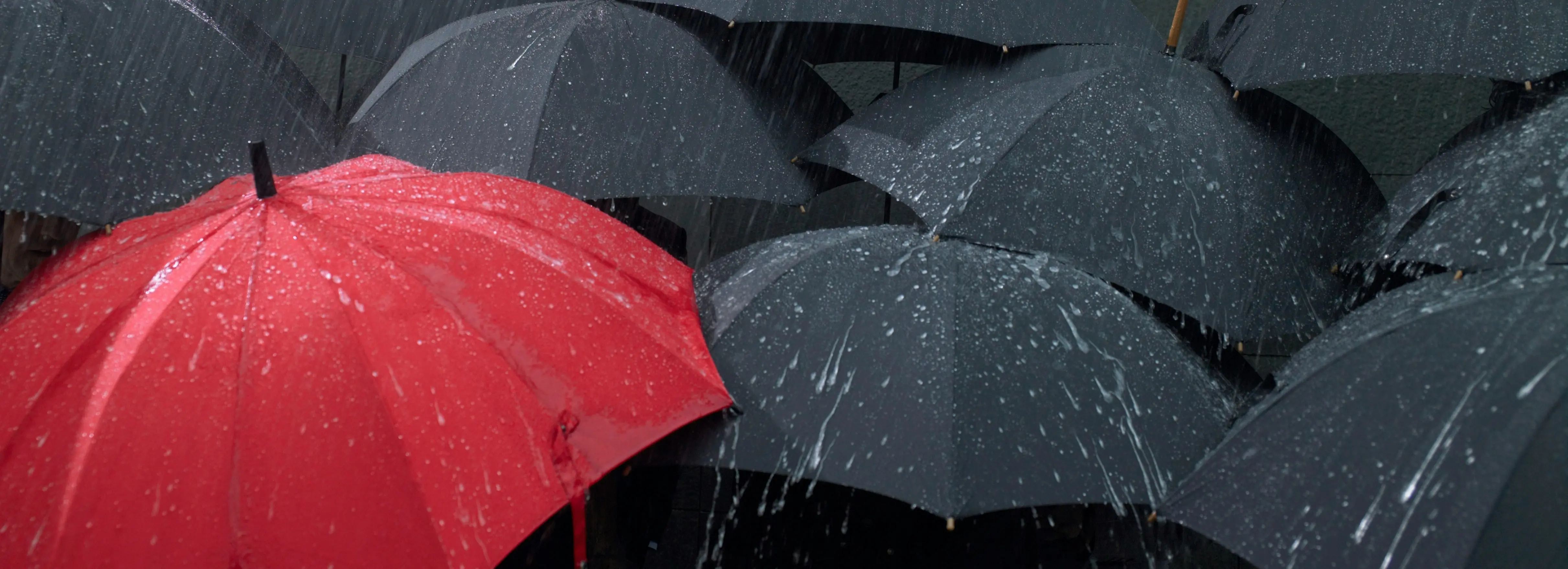 Advanced Side-Chain Protection with THP and Trt