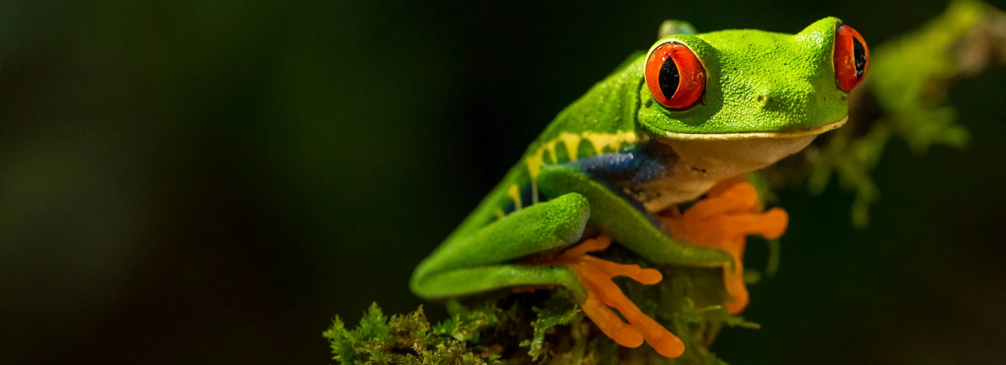 Products for Green Peptide Chemistry