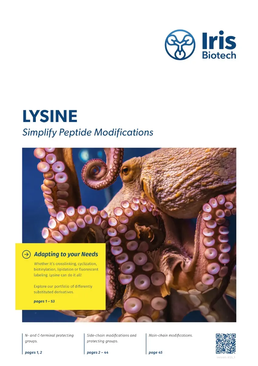 Lysine Flyer