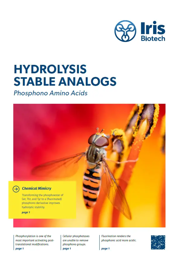 Hydrolysis Stable Analogs