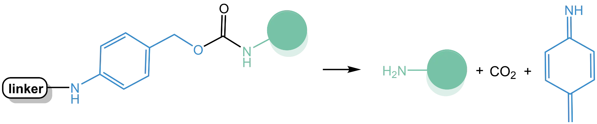 Blog - The Self-Immolative PAB Spacer