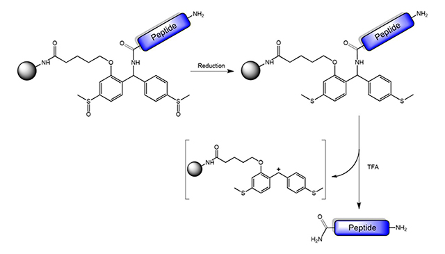 Cleavage of the SCAL linker by a two-step reduction/acidolysis procedure